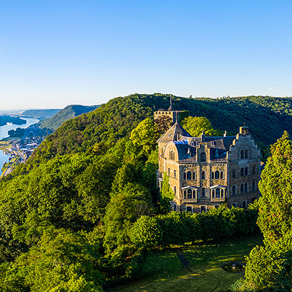 Sale of historical castle with forest land